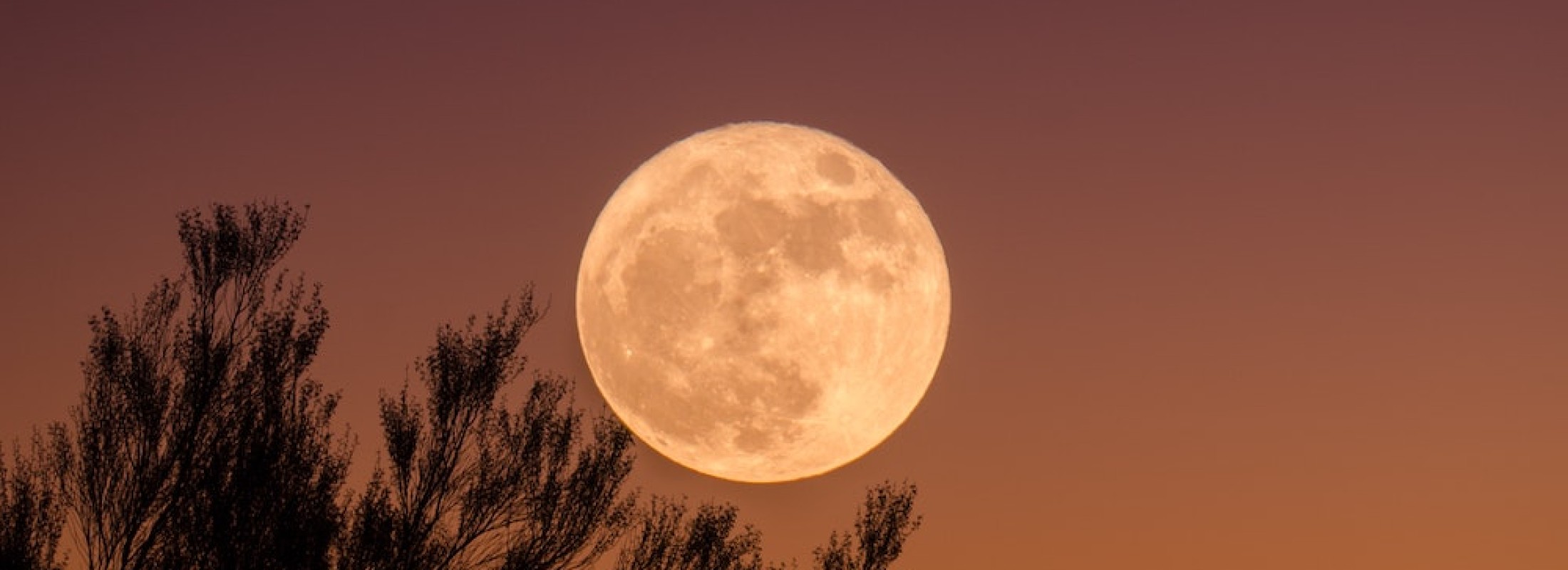 wanneer is het volle maan